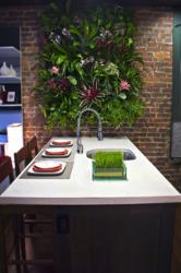 Read more about the article Urban Plantscapes on HGTV (Home and Garden Television)