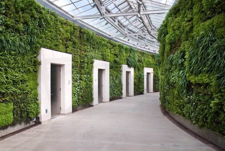 You are currently viewing Largest Green Wall in North America to be Unveiled Tomorrow!