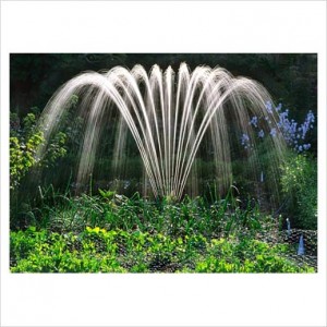 Read more about the article Saving Water in the Garden