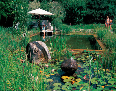Read more about the article Natural Swimming Pools