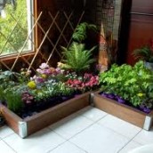 Read more about the article Building an Indoor Garden