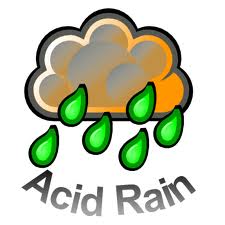 You are currently viewing The Truth About Acid Rain
