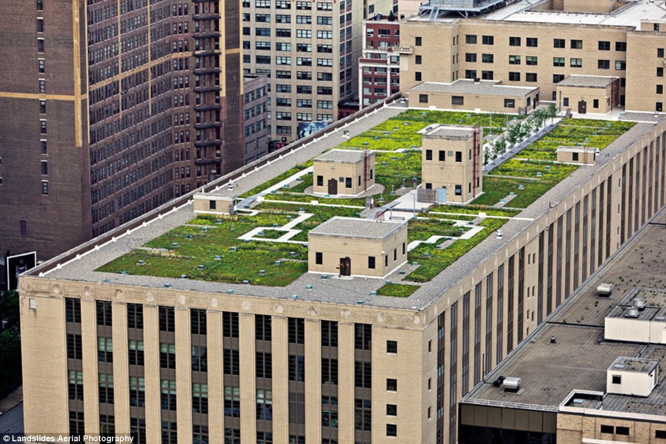 Read more about the article New York secret rooftop world