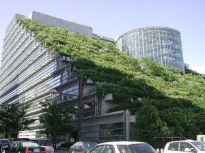 Read more about the article How to build a green roof