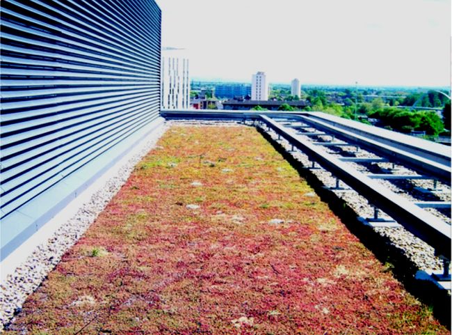 You are currently viewing Green Roofs and Air Pollution in the UK