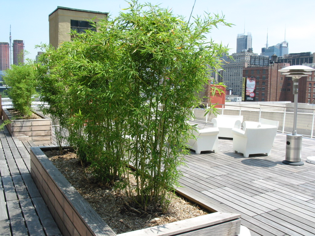 Urban Plantscapes Rooftop Garden
