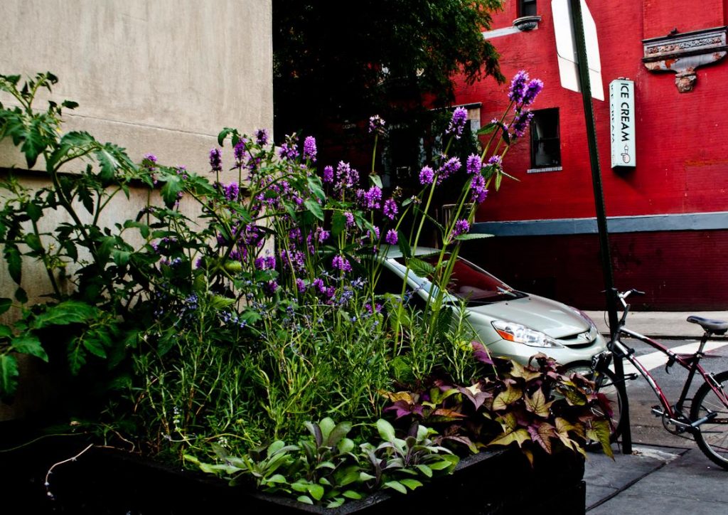 Urban Plantscapes City Planters