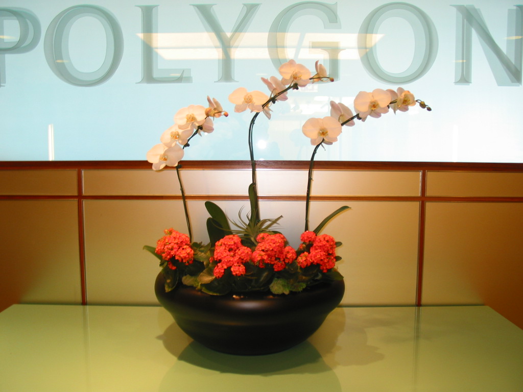 Urban Plantscapes LLC Commercial Flower Display Indoor