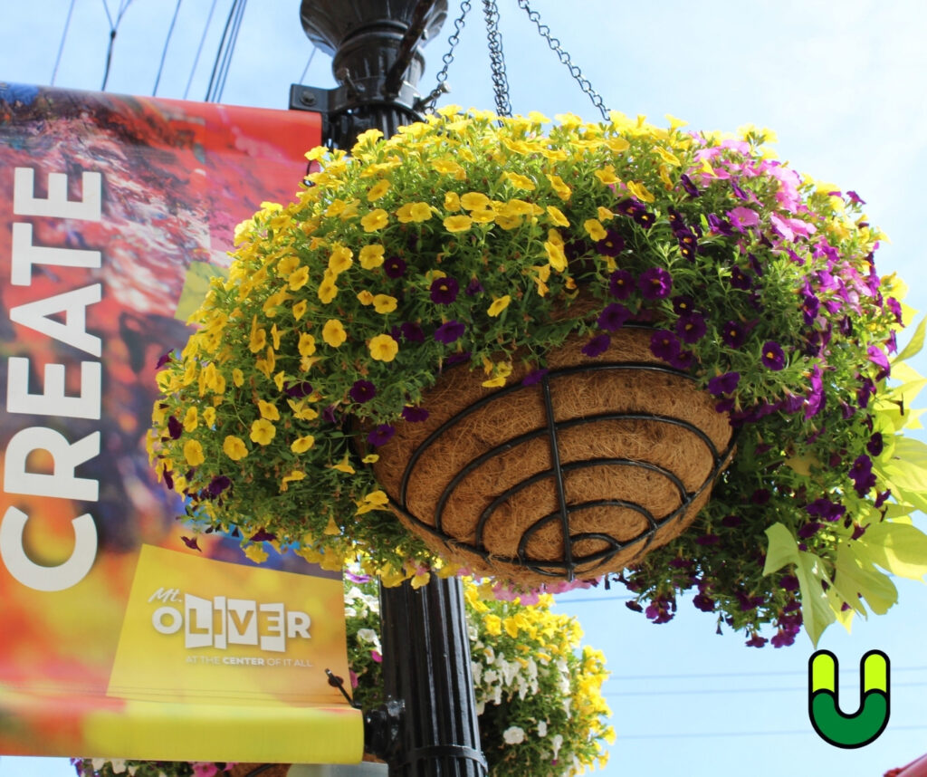 Hanging Baskets, City Landscaping, PGH landscaper, NYC Gardener Plantings.