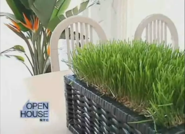 NBC’s ‘Open House’ Feature