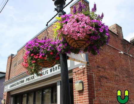 Urban Plantscapes Plantings and Installations 6 Urban Plantscapes Plantings and Installations 6