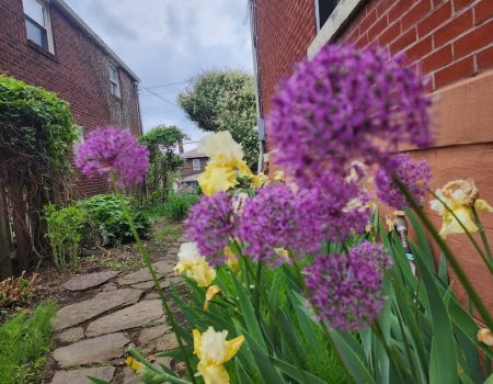 20240506_153033 20240506_153033