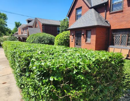 20240531_114919 20240531_114919