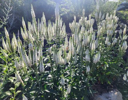 20240610_091742(0) 20240610_091742(0)