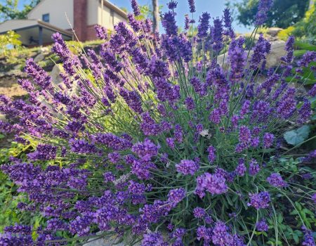 20240610_091848 20240610_091848