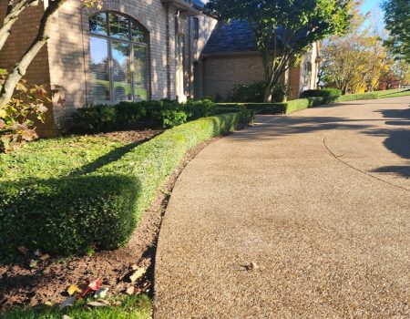 20241017_163507(0) 20241017_163507(0)