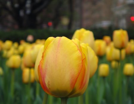 273710505_10159922711022089_7166101532288191436_n 273710505_10159922711022089_7166101532288191436_n