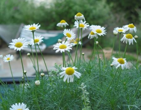 FB_IMG_1707879349925 FB_IMG_1707879349925