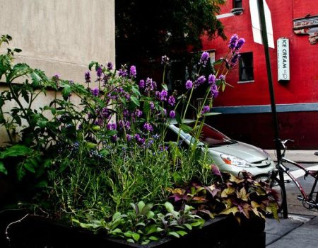 Commercial Landscaping Oversized matter black deco planters .